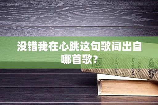 没错我在心跳这句歌词出自哪首歌？