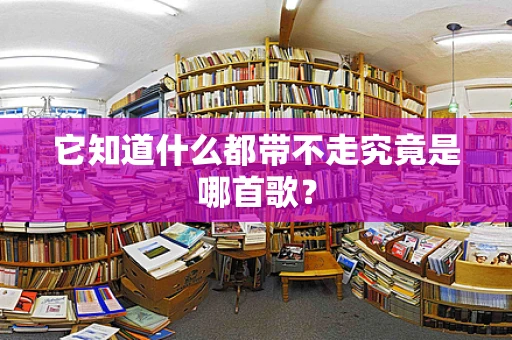 它知道什么都带不走究竟是哪首歌？
