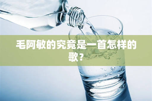 毛阿敏的究竟是一首怎样的歌？