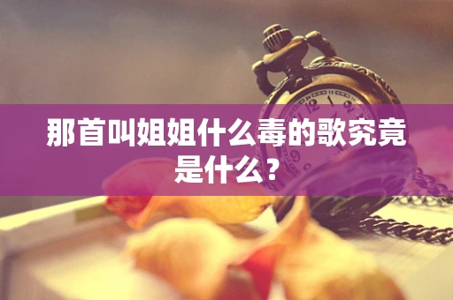 那首叫姐姐什么毒的歌究竟是什么？