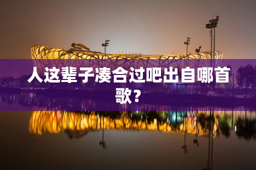人这辈子凑合过吧出自哪首歌？