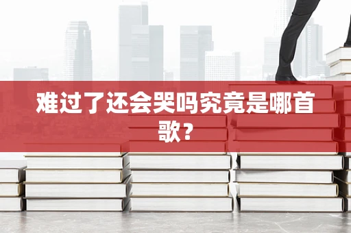 难过了还会哭吗究竟是哪首歌？