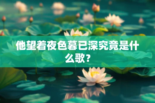 他望着夜色暮已深究竟是什么歌？
