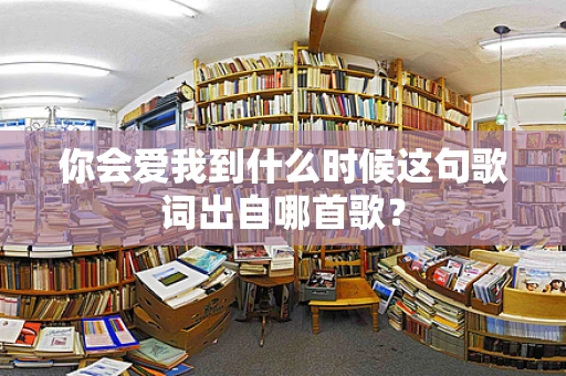你会爱我到什么时候这句歌词出自哪首歌？