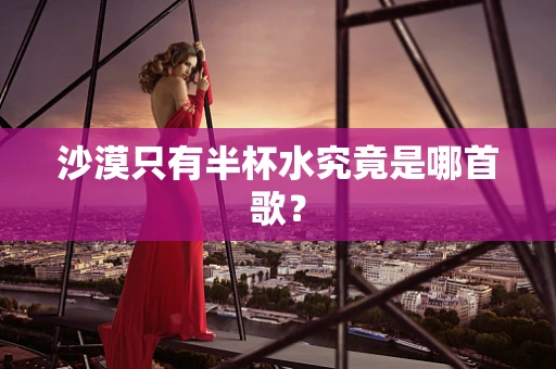 沙漠只有半杯水究竟是哪首歌？