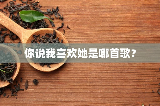你说我喜欢她是哪首歌？