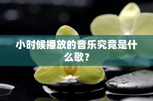 小时候播放的音乐究竟是什么歌？