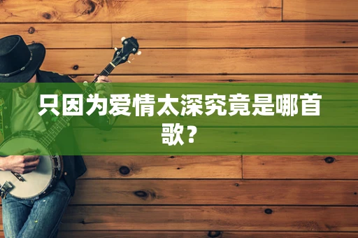 只因为爱情太深究竟是哪首歌？