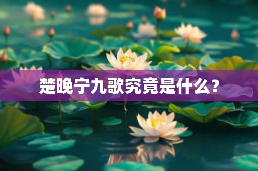 楚晚宁九歌究竟是什么？