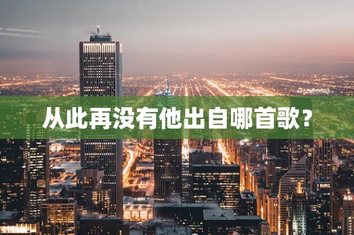 从此再没有他出自哪首歌？