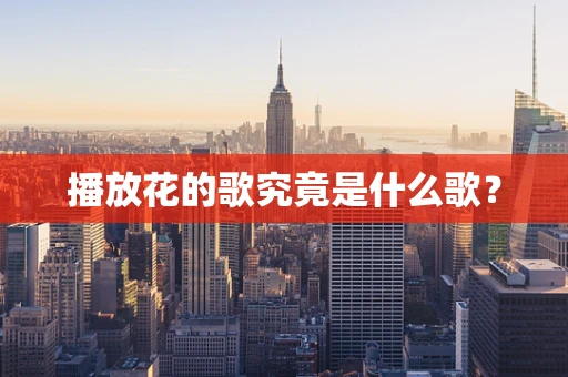 播放花的歌究竟是什么歌？