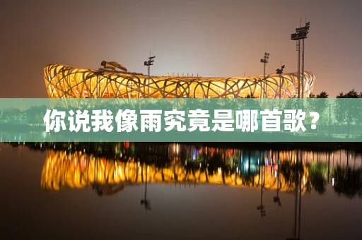 你说我像雨究竟是哪首歌？