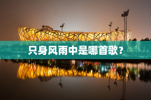 只身风雨中是哪首歌？