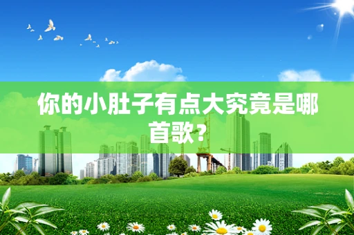 你的小肚子有点大究竟是哪首歌？