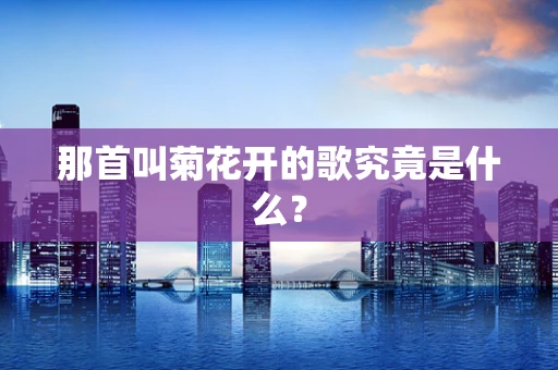 那首叫菊花开的歌究竟是什么？