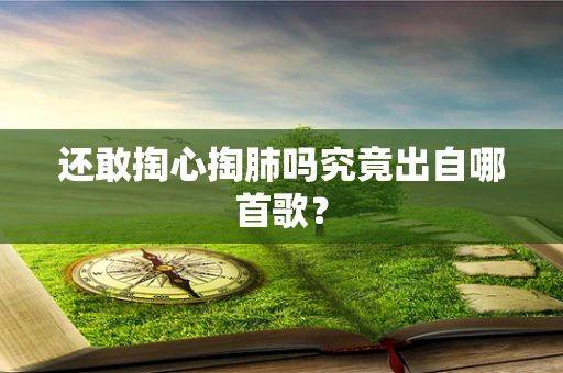 还敢掏心掏肺吗究竟出自哪首歌？