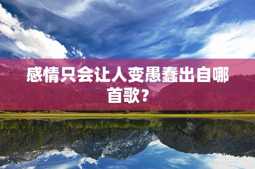 感情只会让人变愚蠢出自哪首歌？