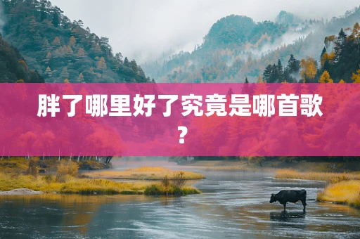 胖了哪里好了究竟是哪首歌？