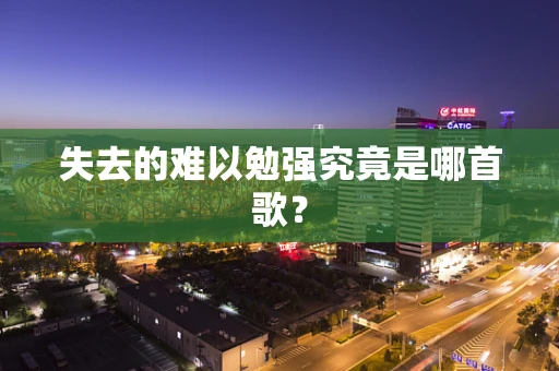 失去的难以勉强究竟是哪首歌？