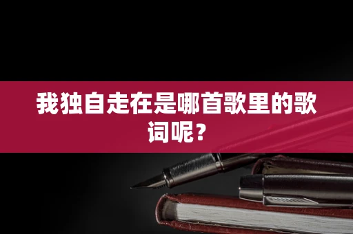我独自走在是哪首歌里的歌词呢？
