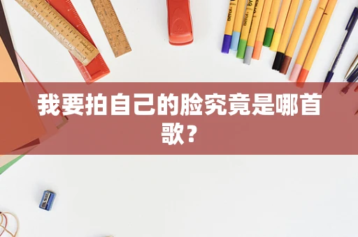 我要拍自己的脸究竟是哪首歌？