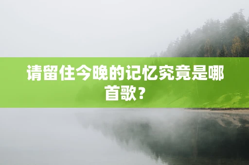 请留住今晚的记忆究竟是哪首歌？