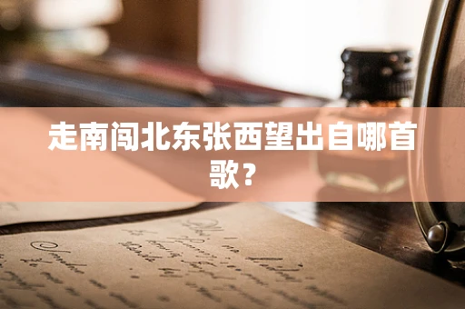 走南闯北东张西望出自哪首歌？