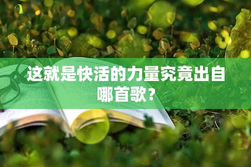 这就是快活的力量究竟出自哪首歌？
