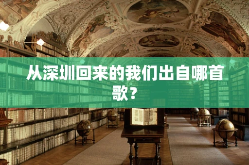 从深圳回来的我们出自哪首歌？