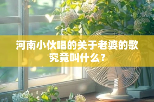 河南小伙唱的关于老婆的歌究竟叫什么？