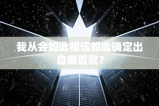 我从会如此相信如此确定出自哪首歌？