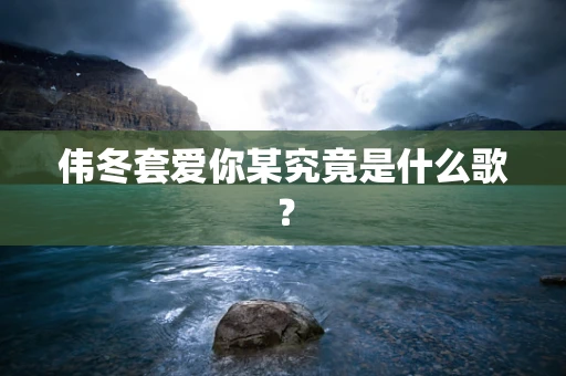 伟冬套爱你某究竟是什么歌？