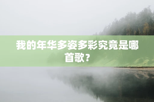 我的年华多姿多彩究竟是哪首歌？