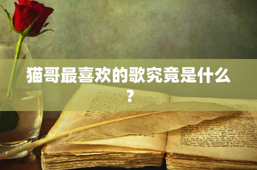猫哥最喜欢的歌究竟是什么？