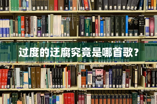 过度的迂腐究竟是哪首歌？