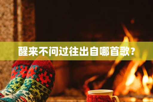 醒来不问过往出自哪首歌？
