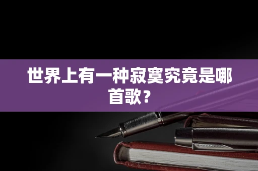 世界上有一种寂寞究竟是哪首歌？