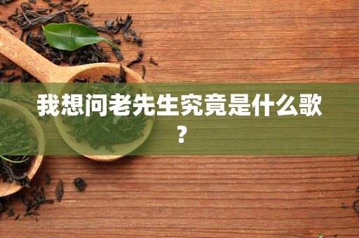 我想问老先生究竟是什么歌？
