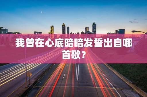 我曾在心底暗暗发誓出自哪首歌？