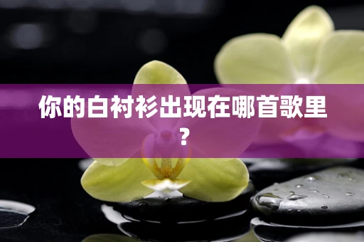 你的白衬衫出现在哪首歌里？