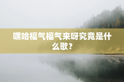 嘿哈福气福气来呀究竟是什么歌？