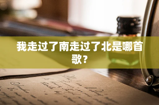 我走过了南走过了北是哪首歌？
