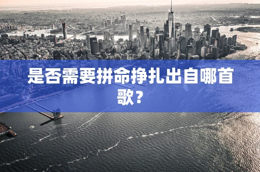 是否需要拼命挣扎出自哪首歌？