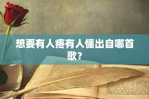 想要有人疼有人懂出自哪首歌？