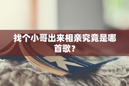 找个小哥出来相亲究竟是哪首歌？