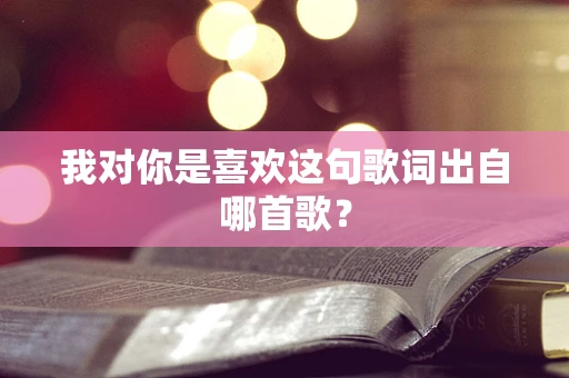我对你是喜欢这句歌词出自哪首歌？