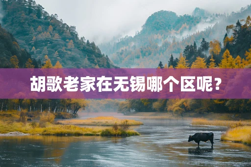 胡歌老家在无锡哪个区呢？