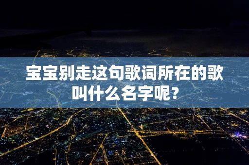 宝宝别走这句歌词所在的歌叫什么名字呢？