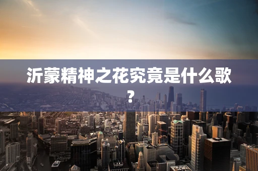 沂蒙精神之花究竟是什么歌？