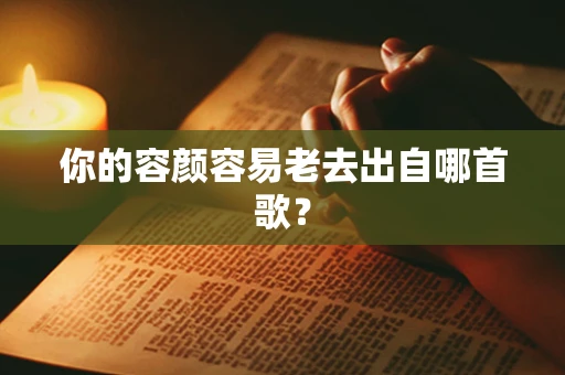你的容颜容易老去出自哪首歌？